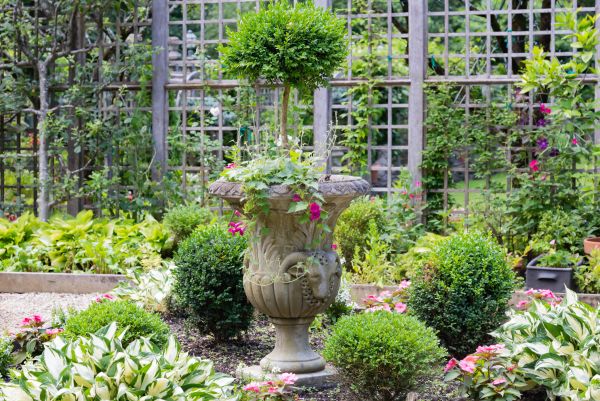 Cost of Topiary Pruning in Madison