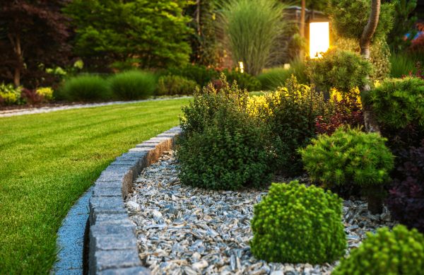 Cost of Bush Relocation in Madison