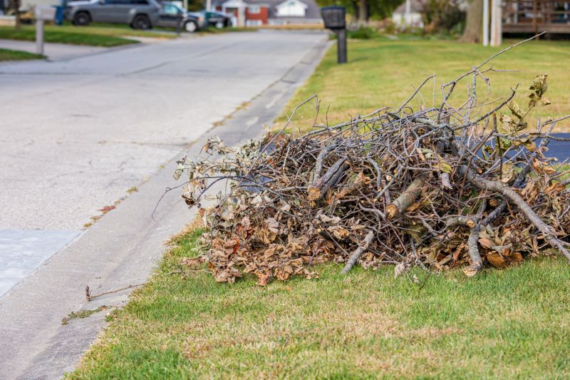 Dead Bush Removal