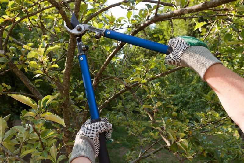 Landscape Pruning Service
