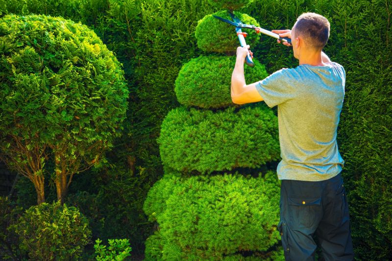 Overgrown Shrub Pruning