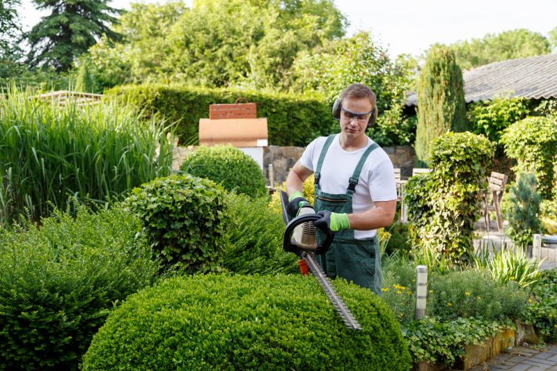 Expert Shrub Trimming